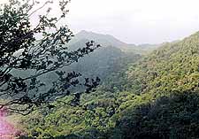 sinha3.jpg (8325 bytes)