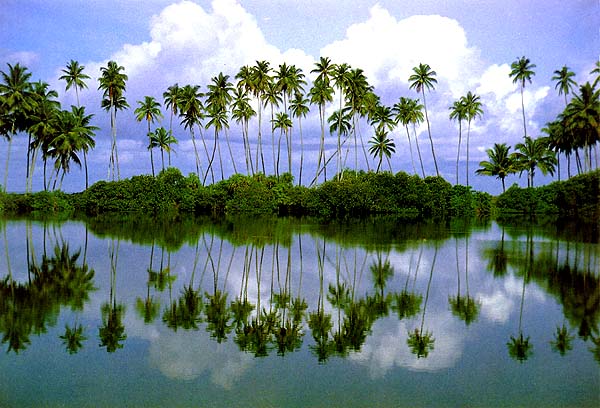 www.mp3srilanka.com